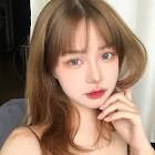阮郎归·女贞花白草迷离